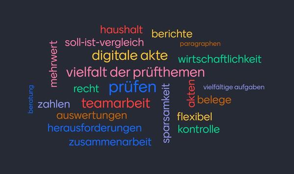 Rechnungsprüfungsamt Wortwolke