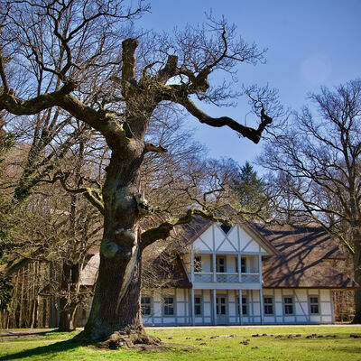 Am Schweizerhaus