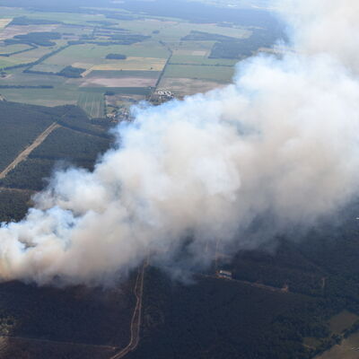 006. Waldbrand Lübtheen 2023