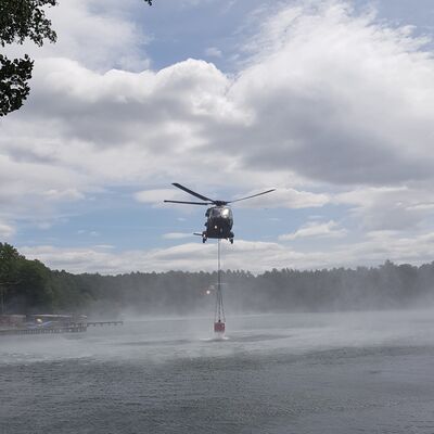 007. Waldbrand Lübtheen 2019