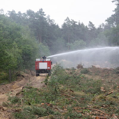 008. Waldbrand 2019
