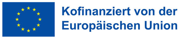 EU Förderhinweis Logo