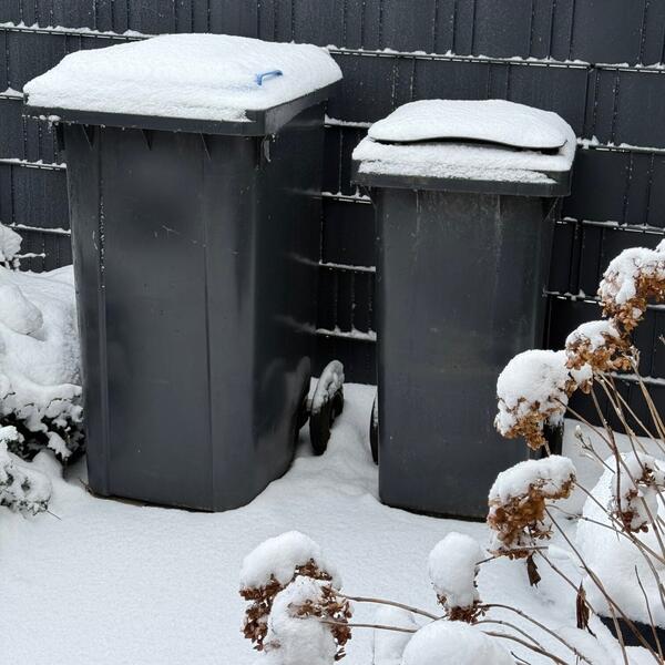 Hausm&uuml;lltonnen Winter_quadrat_ALP A&ouml;R.jpg