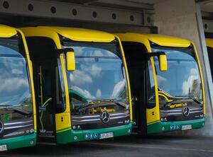 2026-01-30 VLP Busse