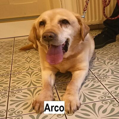 Tiervermittlung Arco