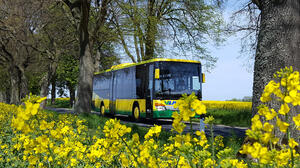 VLP Bus