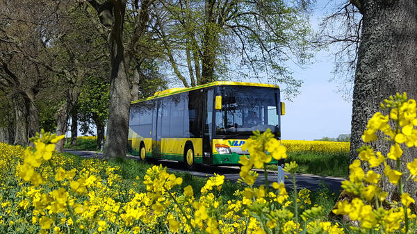 VLP Bus