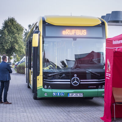62 Solitär Eröffnung