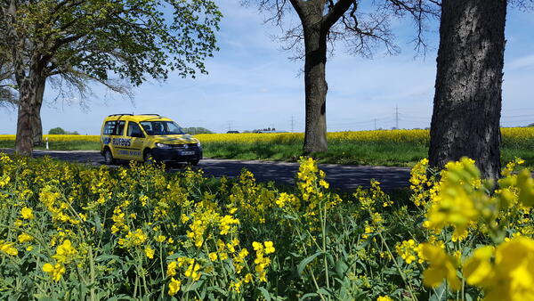 Rufbus