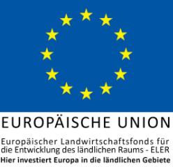 EU-Logo klein