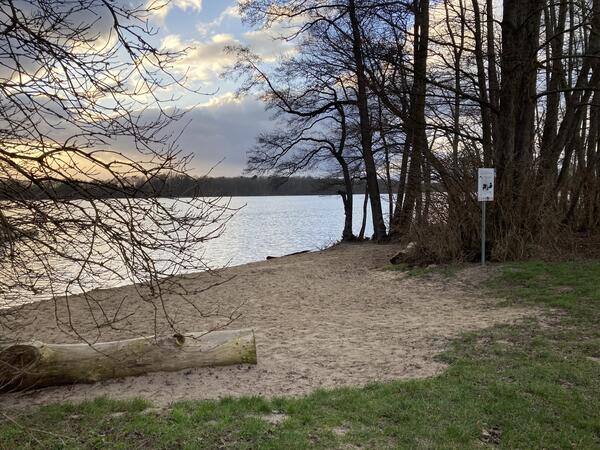 2023-03-05 Dmmer See Badestelle der Gemeinde (c) Landkreis Ludwigslust-Parchim